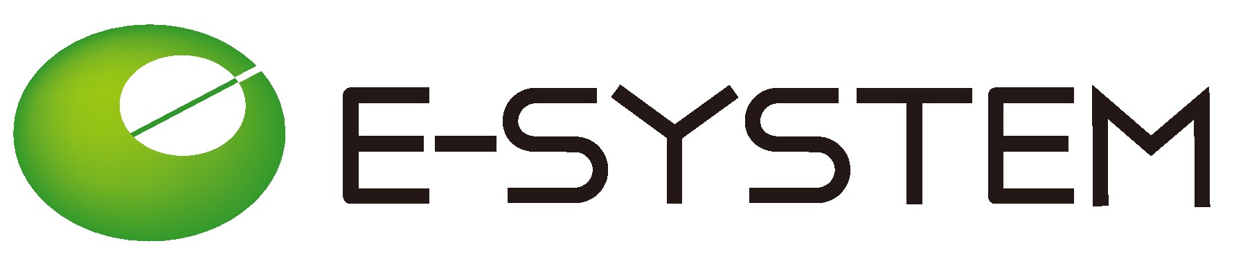 E-SYSTEM